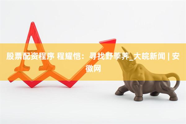 股票配资程序 程耀恺：寻找野荸荠_大皖新闻 | 安徽网