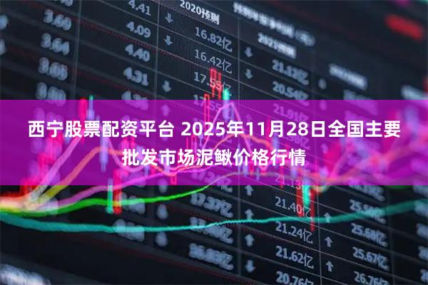 西宁股票配资平台 2025年11月28日全国主要批发市场泥鳅价格行情